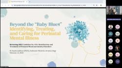 2025-02-12_Kaylee Jabbour_Beyond the Baby Blues-Identifying, Treating, and Caring for Perinatal Mental Illness