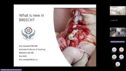 2025-02-20_Kim Campbell_What is New in Breech